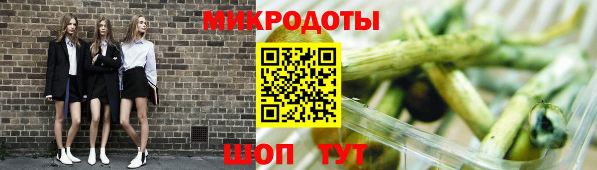Псилоцибиновые грибы Psilocybe Урюпинск